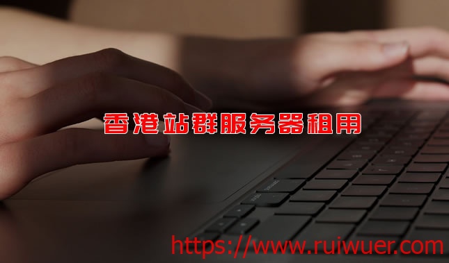香港站群服务器租用推荐及香港多IP服务器/VPS套餐(站群需求)-瑞吾尔