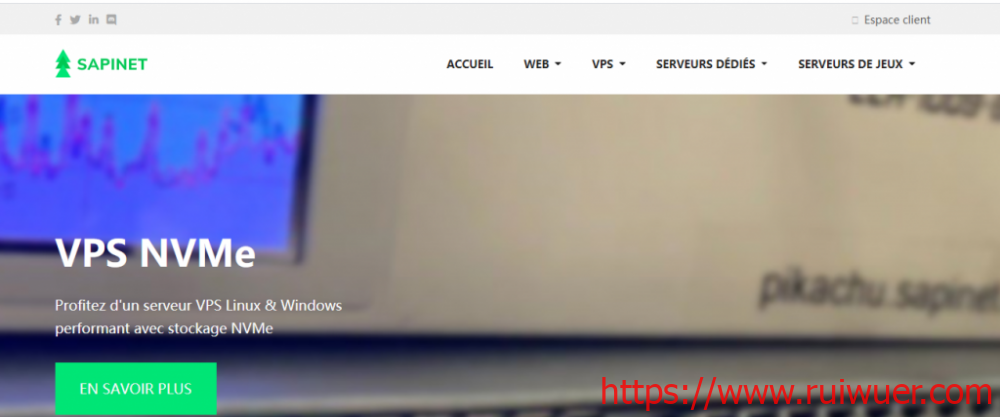 Sapinet:€3/月/2核/2GB内存/30GB NVMe空间/不限流量/100Mbps-500Mbps端口/DDOS/KVM/德国-瑞吾尔