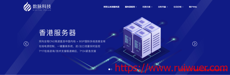 数脉科技:4-5月优惠促销!香港优质BGP线路服务器-瑞吾尔