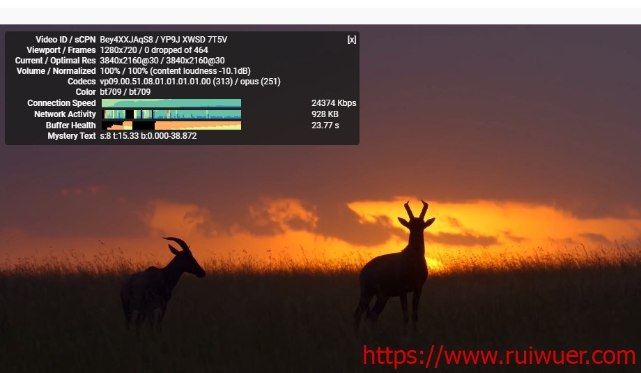 企鹅小屋:180元/年/512MB内存/10GB SSD空间/500GB流量/30Mbps-100Mbps带宽/KVM/香港NTT/移动神器-瑞吾尔