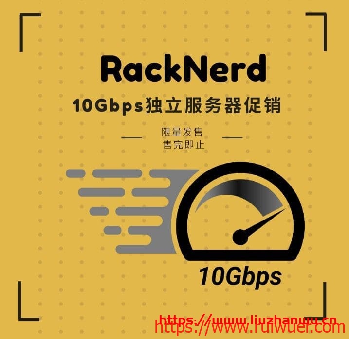 RackNerd :美国服务器促销/超高配置白菜价/可选AMD Ryzen和至强双E5/10Gbps带宽月流量100TB/$219/月起-瑞吾尔