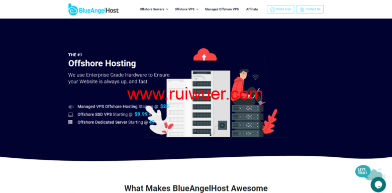 blueangelhost：保加利亚专业离岸主机，无视版权投诉，免费100G DDOS防护，KVM VPS $8.99起-瑞吾尔