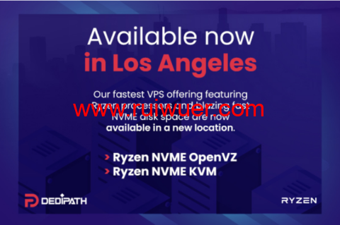DediPath:洛杉矶机房,新上Ryzen NVME VPS,1核/512M内存/10G NVME硬盘/1TB流量/1Gbps带宽,$44.00/年-瑞吾尔
