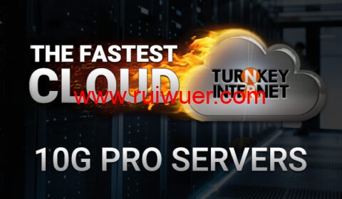 TurnkeyInternet:美国独立服务器,2*X5650/32G内存/240GB SSD/100 TB流量/10Gbps带宽,$176/月起,30天退款保证-瑞吾尔