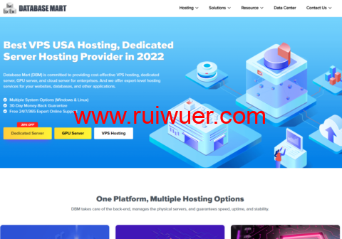 Database Mart：美国中配VPS/独服新年５折优惠，独立IPV4，高带宽不限流-瑞吾尔