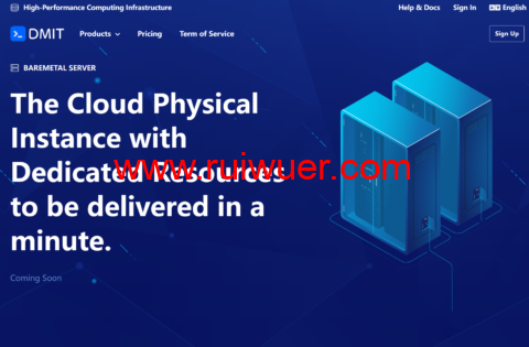 DMIT：香港vps/日本vps/洛杉矶vps，1核/1GB/20GB SSD/1TB@4Gbps带宽，$36.9/年-瑞吾尔