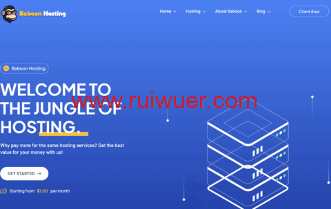 BaboonHosting：荷兰VPS，€12.99/年起，荷兰IPv6 vps年付5欧元起-瑞吾尔