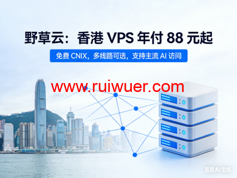 野草云：香港 VPS 年付 88 元起，免费 CNIX，多线路可选，支持主流 AI 访问-瑞吾尔